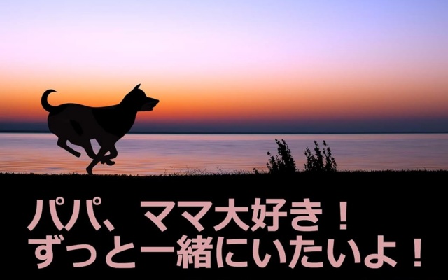 Thumbnail of post image 089