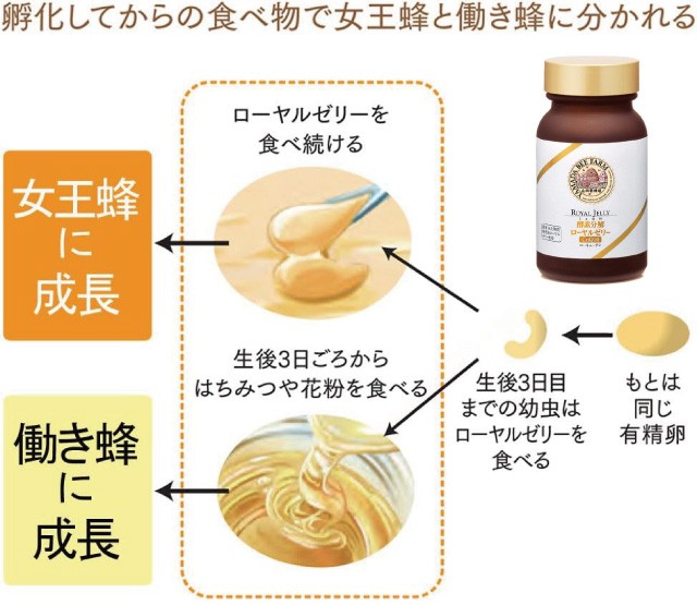 Thumbnail of post image 086
