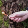 Thumbnail of new posts 052